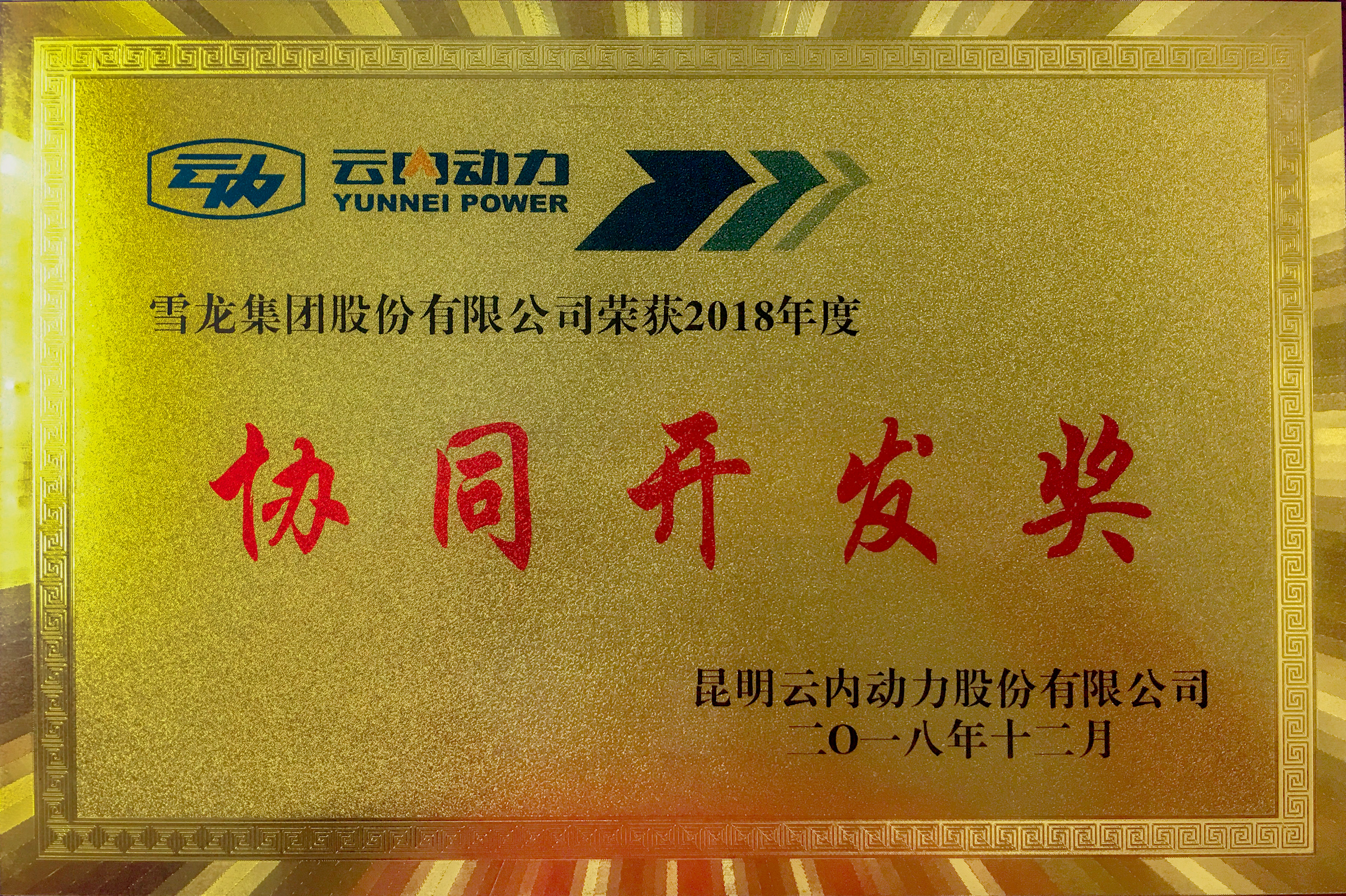 云内动力协同开发奖(2018年) 云内动力协同开发奖(2018年)